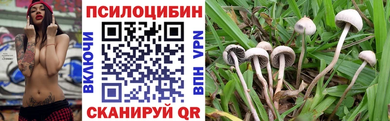 как найти Нязепетровск Псилоцибиновые грибы мухоморы
